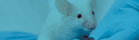 Animalario