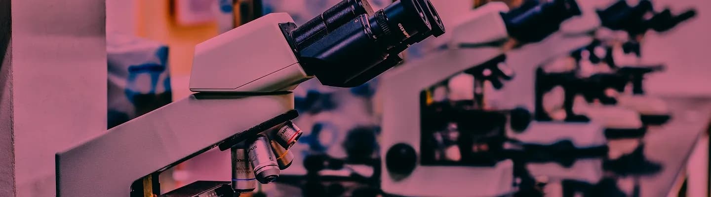 Responsible Research and Innovation